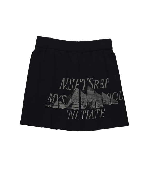 SKIRTS-MSFTSREP