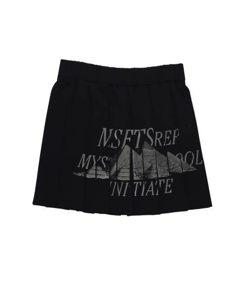 SKIRTS-MSFTSREP