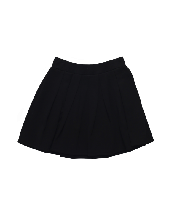 SKIRTS-MSFTSREP