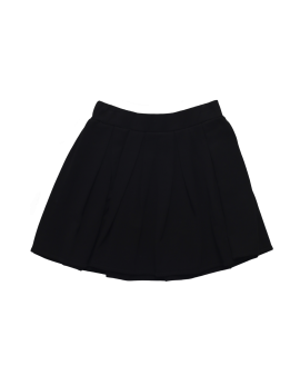 SKIRTS-MSFTSREP