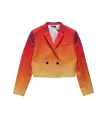 BLAZERS-MSFTSREP