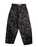 PANTS-PDF